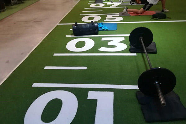 Viva Gym