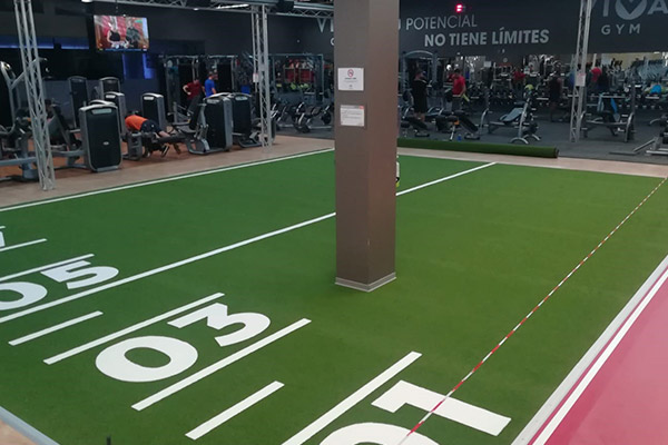 Viva Gym