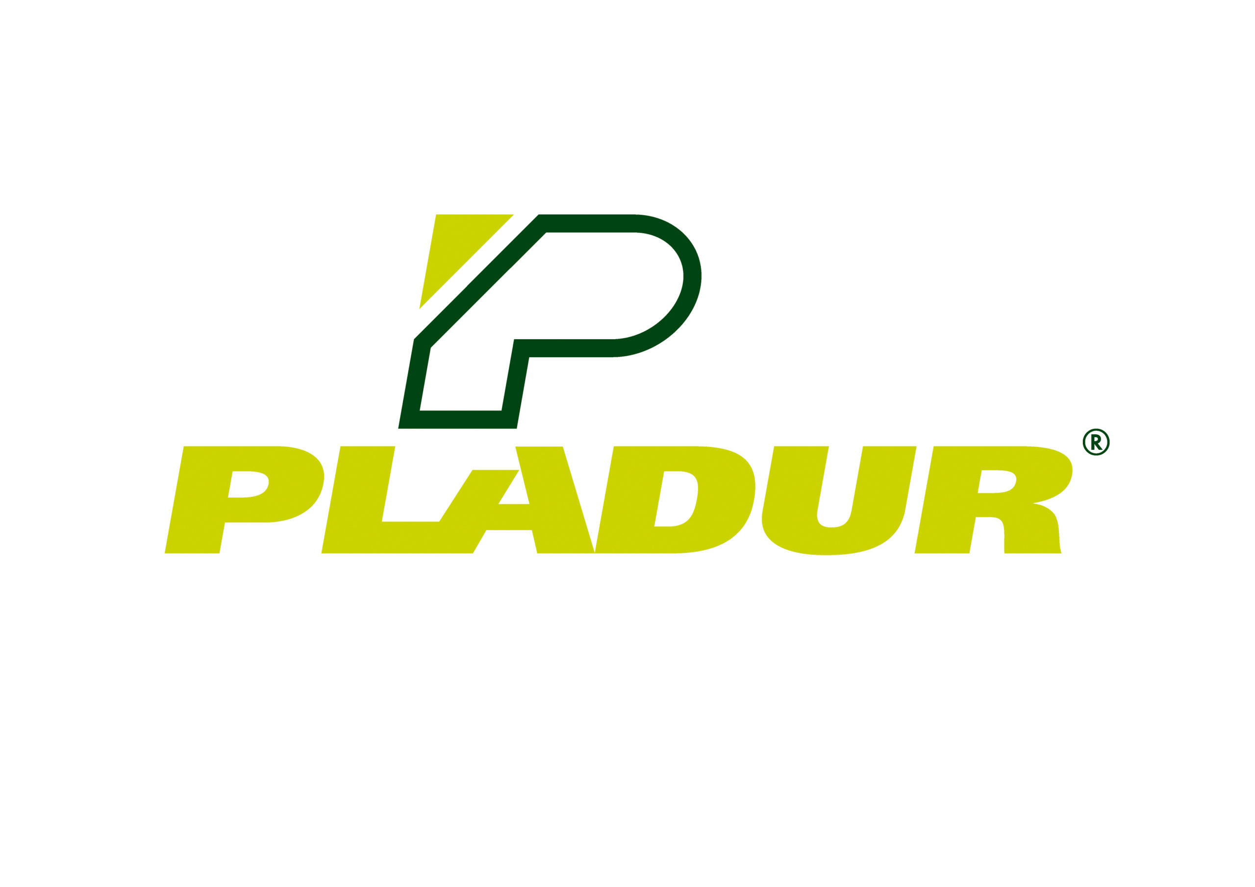 logo pladur